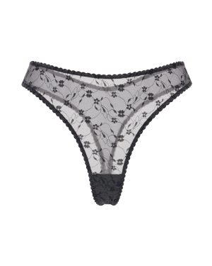 High thong Isabella